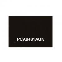 PCA9481AUKZ