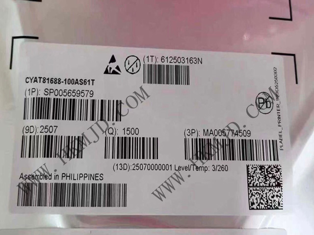 CYAT81688-100AS61T